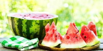 娱乐吃瓜菌的作品