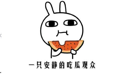 娱乐吃瓜酱自闭孙子,揭秘背后的感人故事